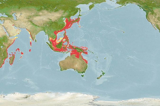 Aquamaps - Computer Generated Native Distribution Map for Octolasmis neptuni